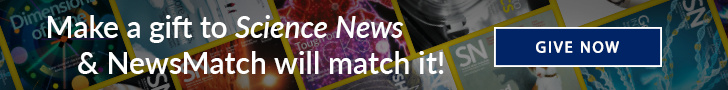 Newsmatch